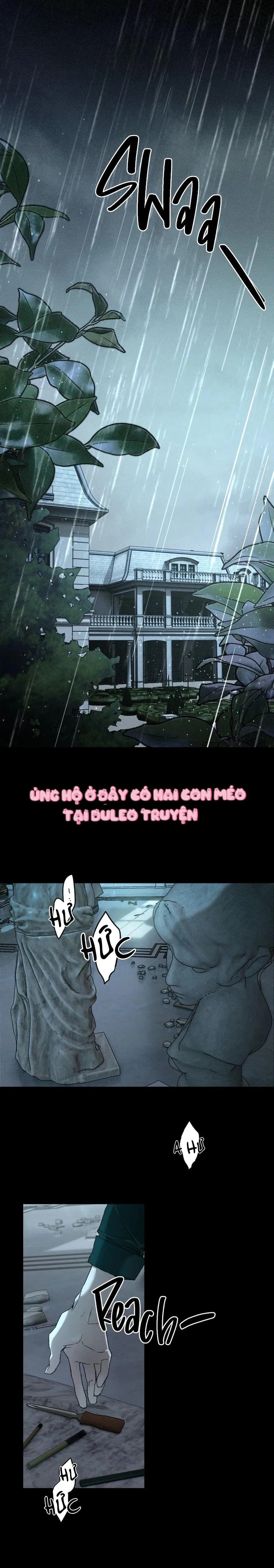 Che Giấu Tung Tích