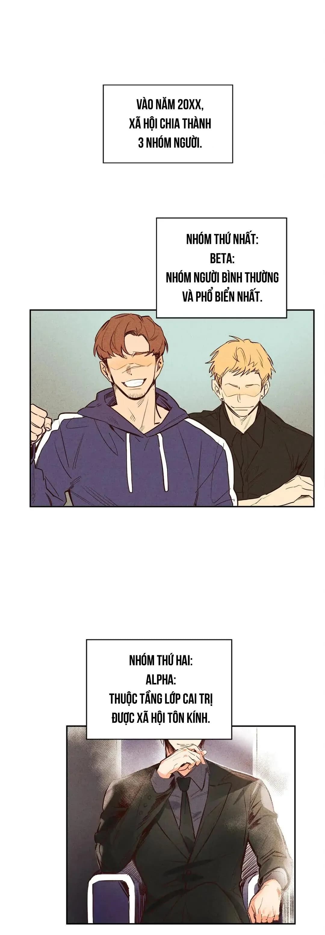 Chìm Trong Pheromone