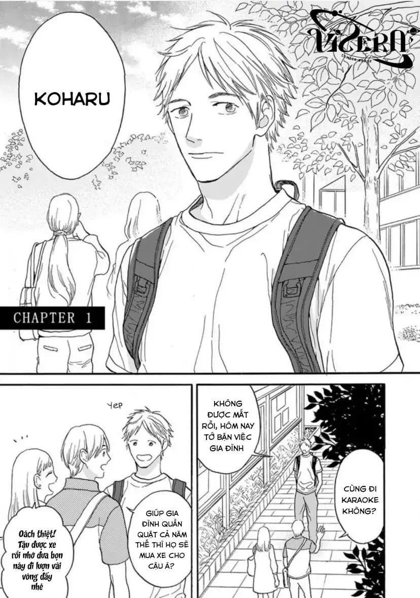 Cho Dù Không Là Định Mệnh