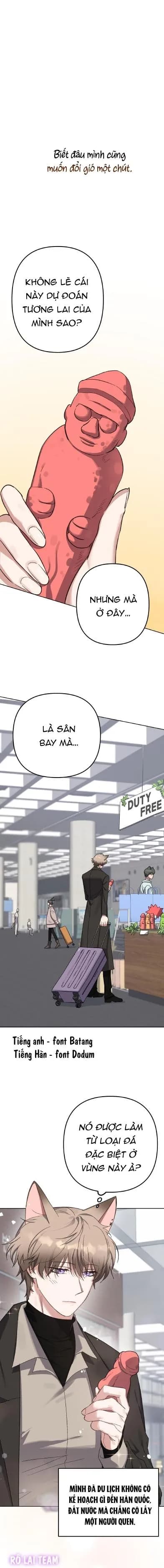 Chú thỏ chỉ cần 3 giây là xuất tinh