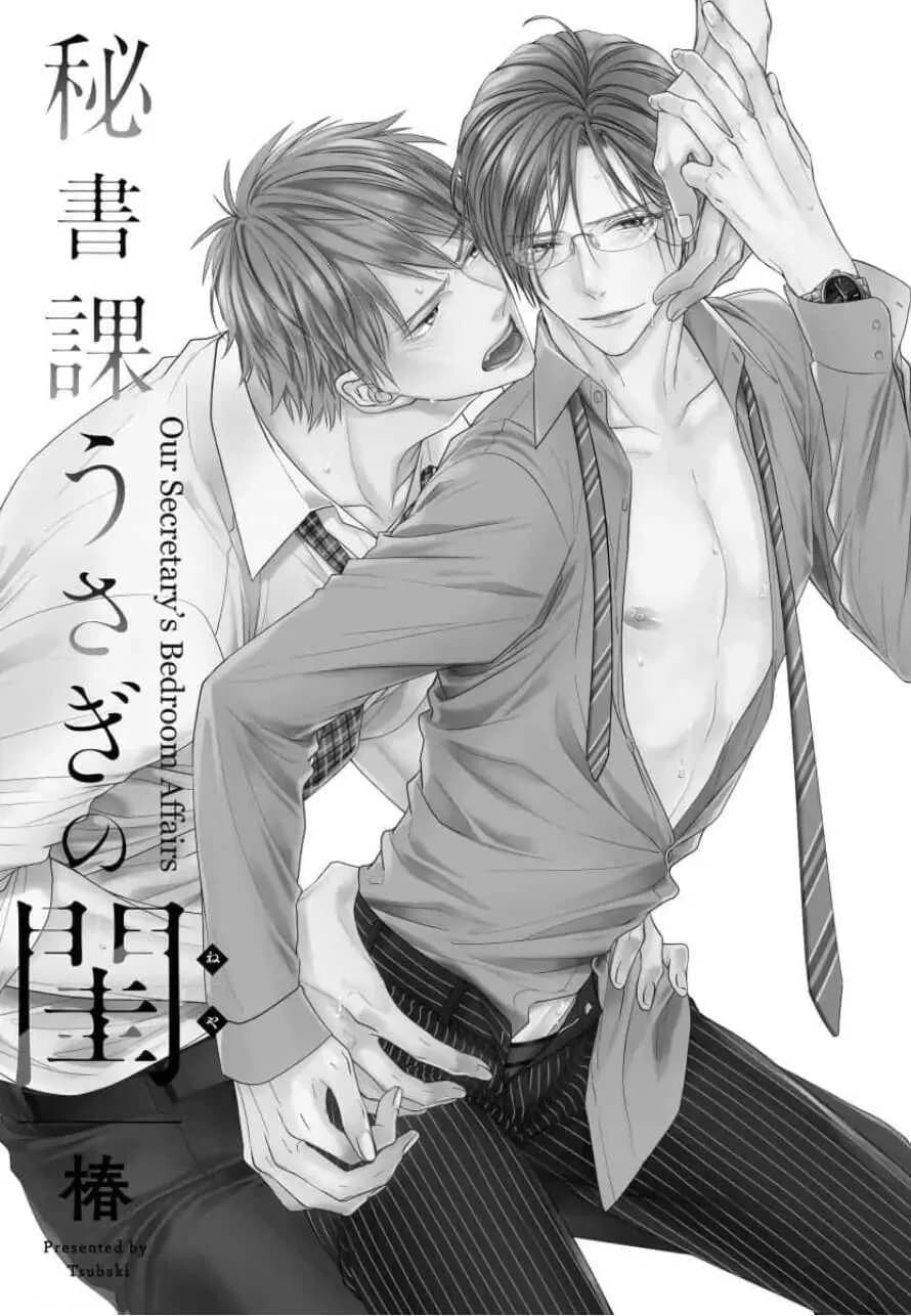 Công Việc Giường Chiếu Của Thư Ký