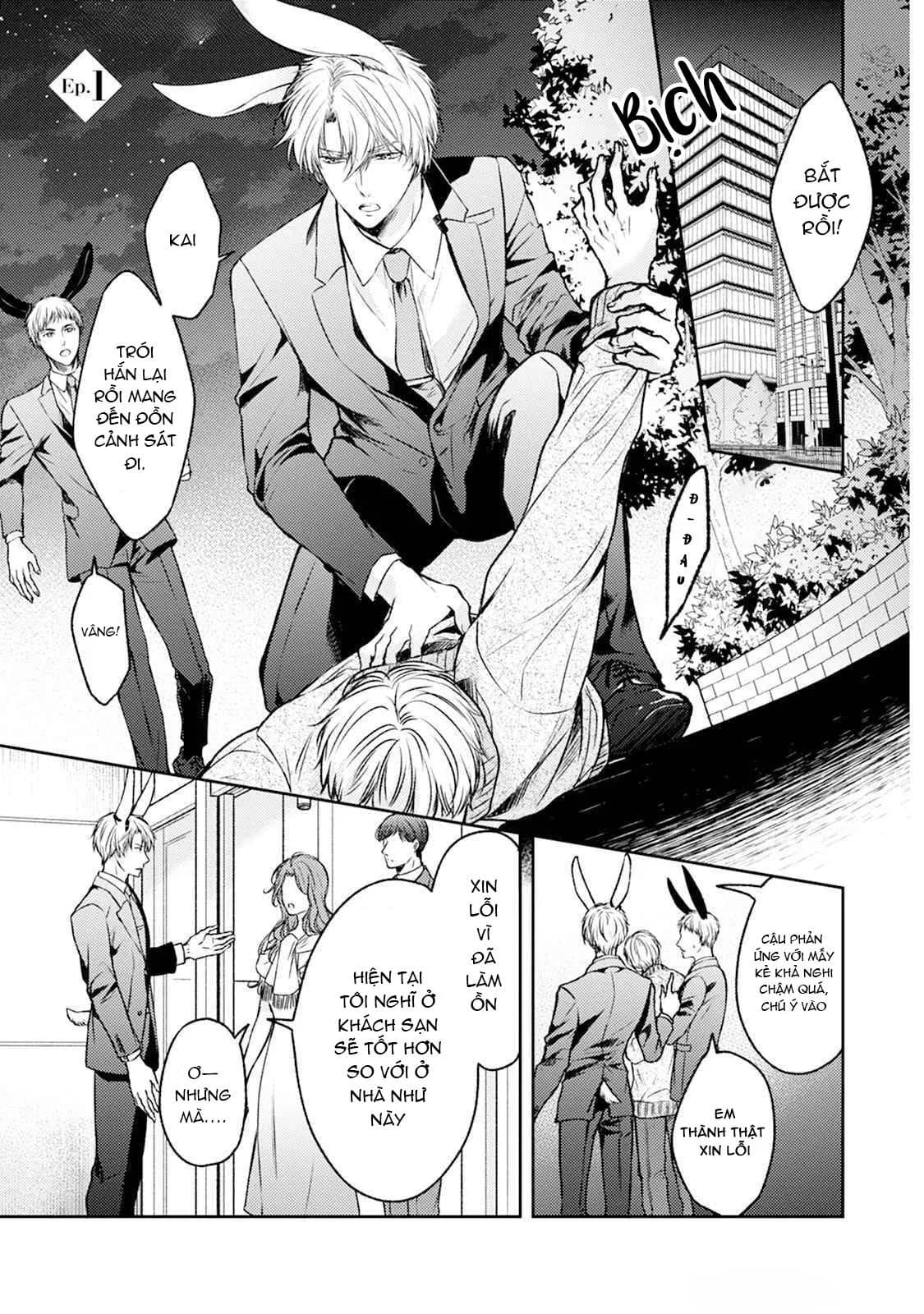 Đã Đến Lúc Cưng Chiều Rồi!