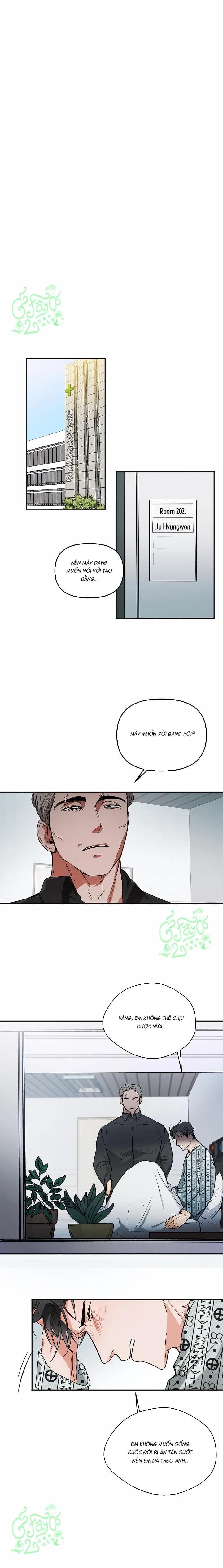 Đại Ca Xã Hội Đen