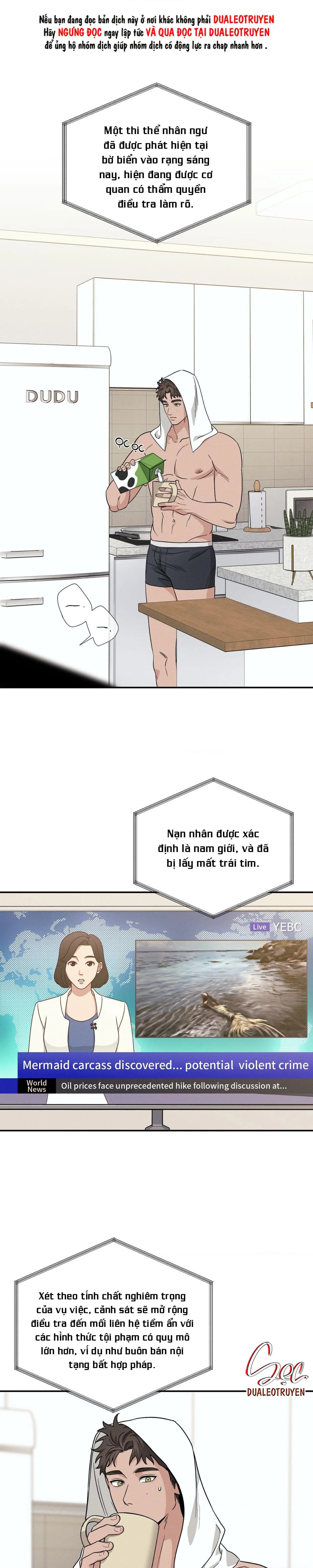 ĐẦM LẦY NHÂN NGƯ