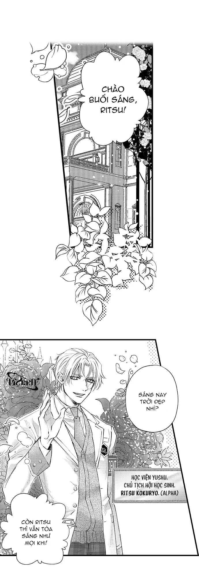 Bí Mật Thầm Kín Của Ngài Quý Tộc α