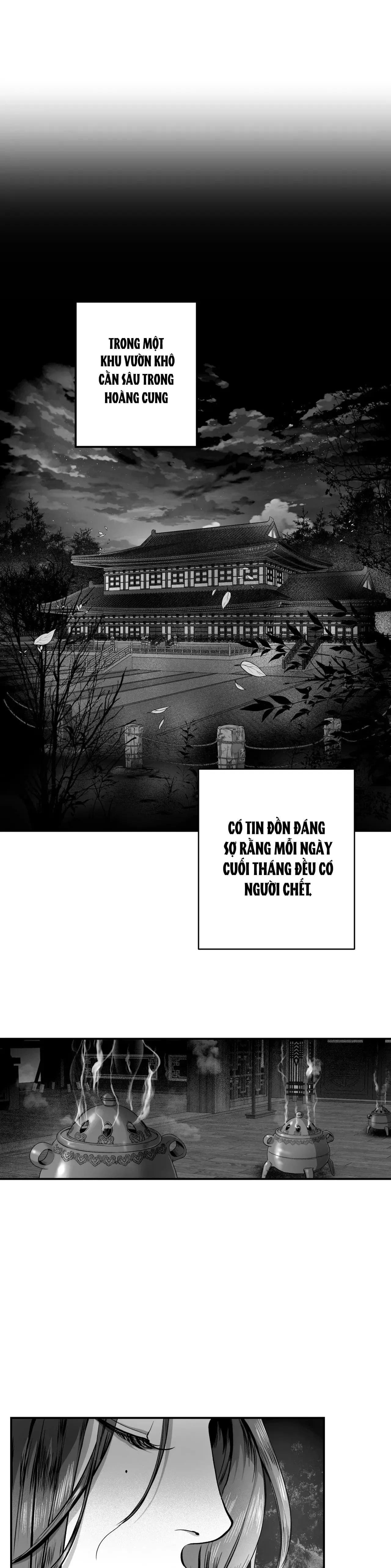 ĐÊM ĐIÊN CUỒNG