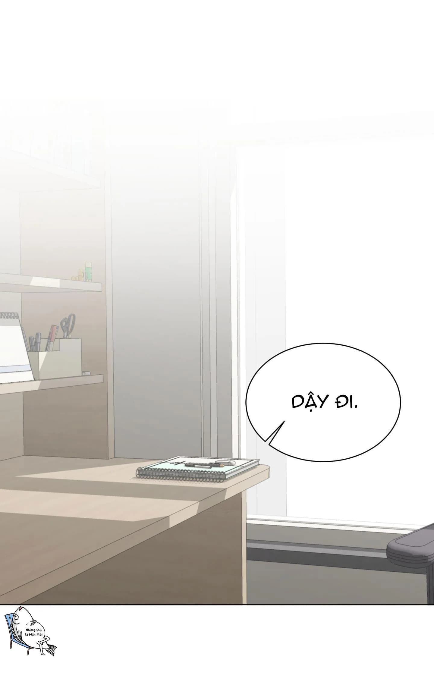 Đêm Mùa Hè Có Hoa Lupin