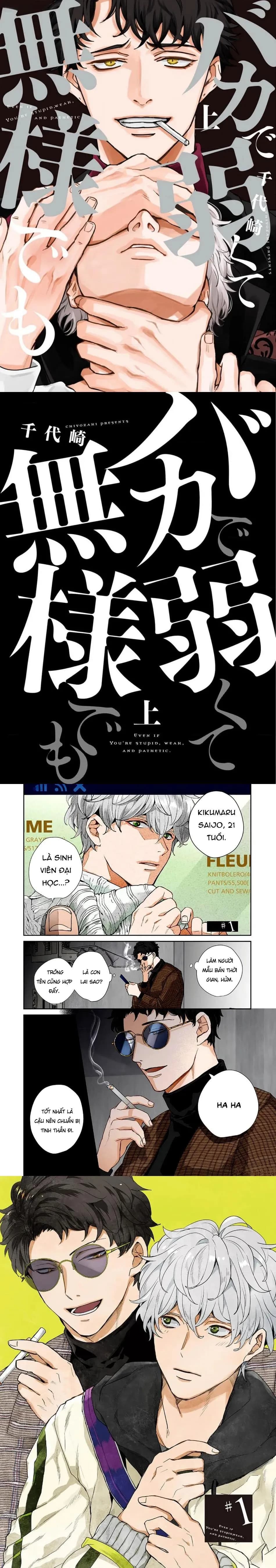 Dù Tôi Có Ngu Ngốc, Yếu Đuối Hay Thảm Hại