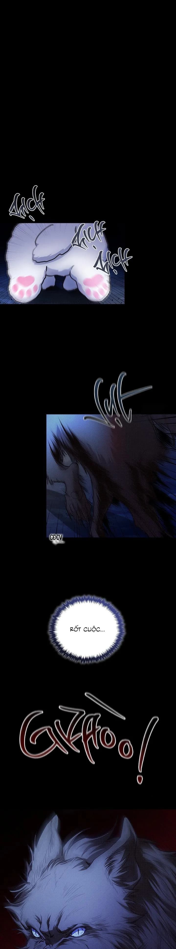 ĐỪNG CHẠM VÀO CÚN CON CỦA TÔI