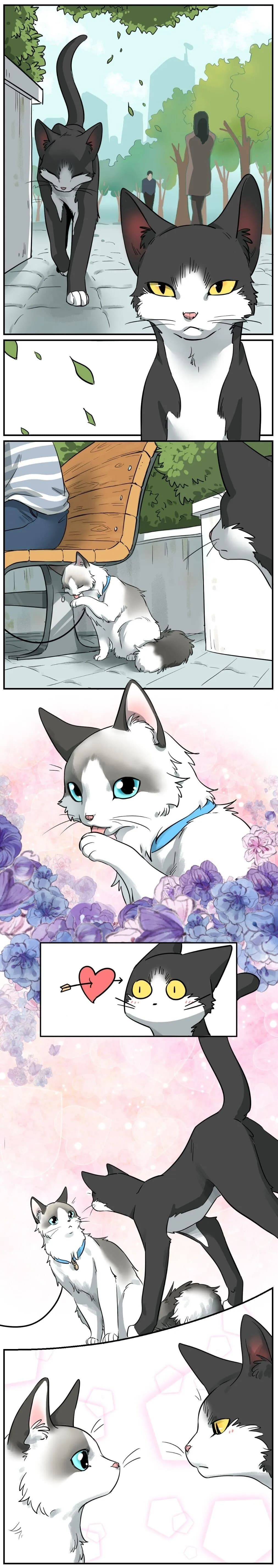 Hạt Mè Và Bánh Gạo