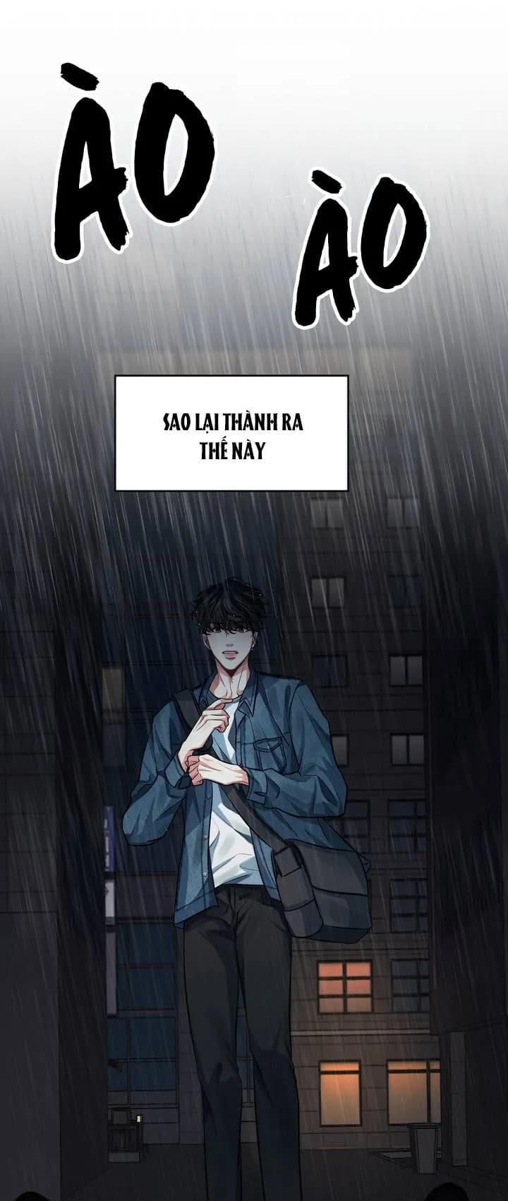 Hình Bóng Của Sự Tái Ngộ