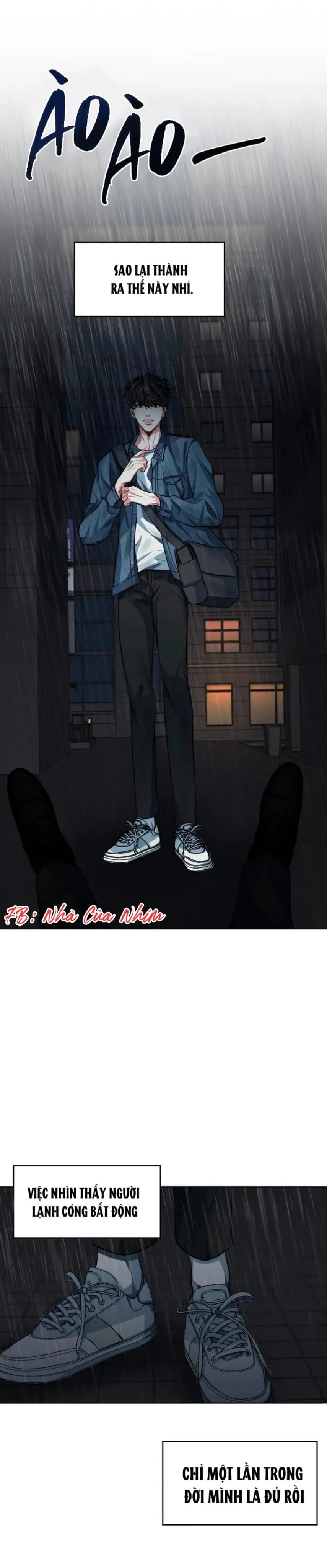 Hình Bóng Tái Ngộ