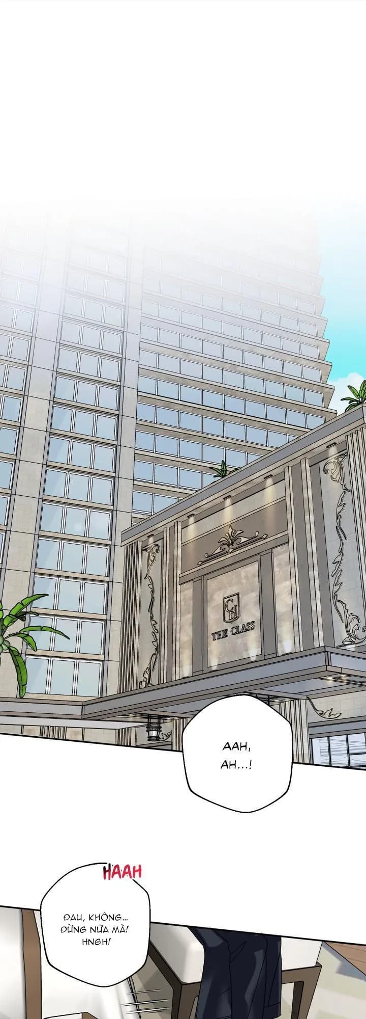 HÔN ƯỚC NÀY LÀ MỘT CẠM BẪY