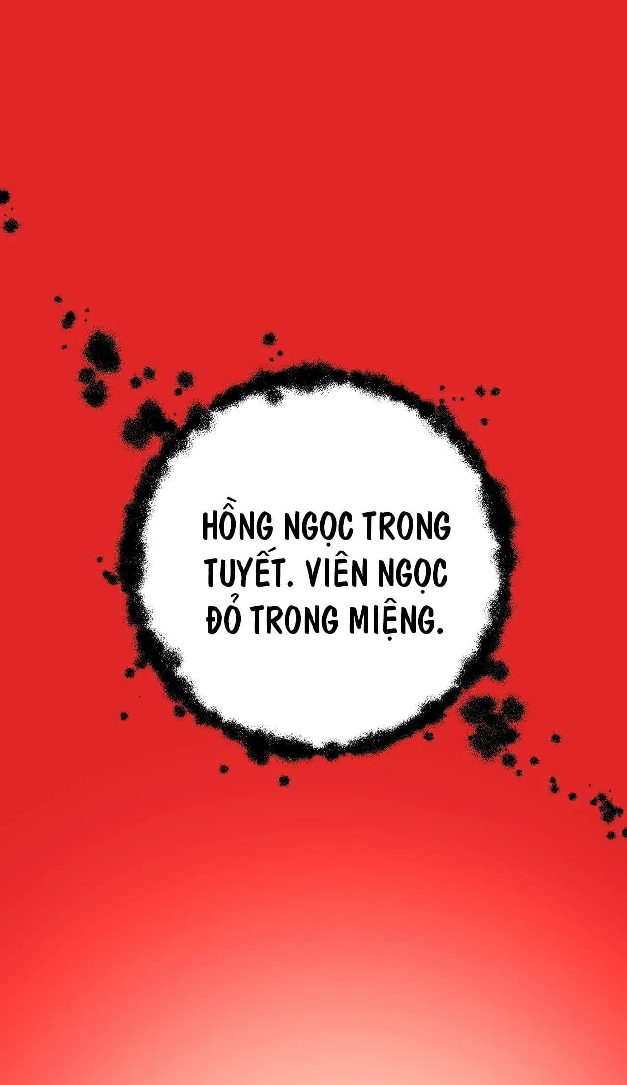 HỒNG NGỌC GIỮA NỀN TUYẾT TRẮNG