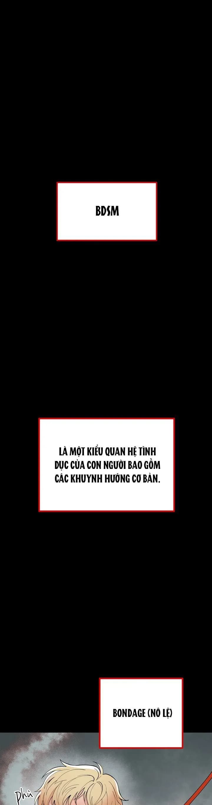 HƯỚNG DẪN BDSM CƠ BẢN