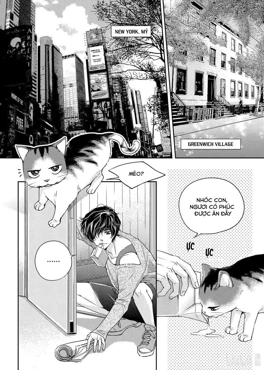 Anh ấy và phương thức yêu đương của mình