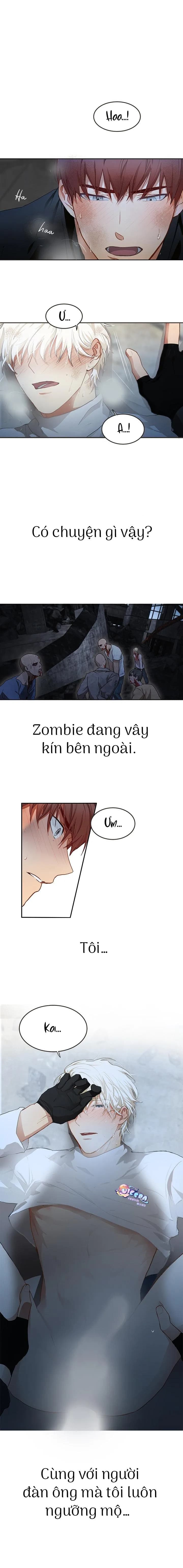 Kẻ Nói Dối Hoàn Hảo