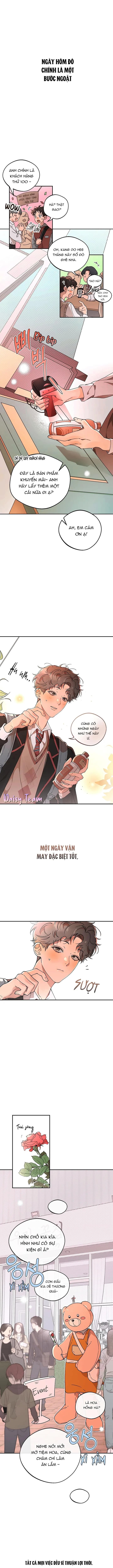 Ánh Đèn Mờ Ảo​