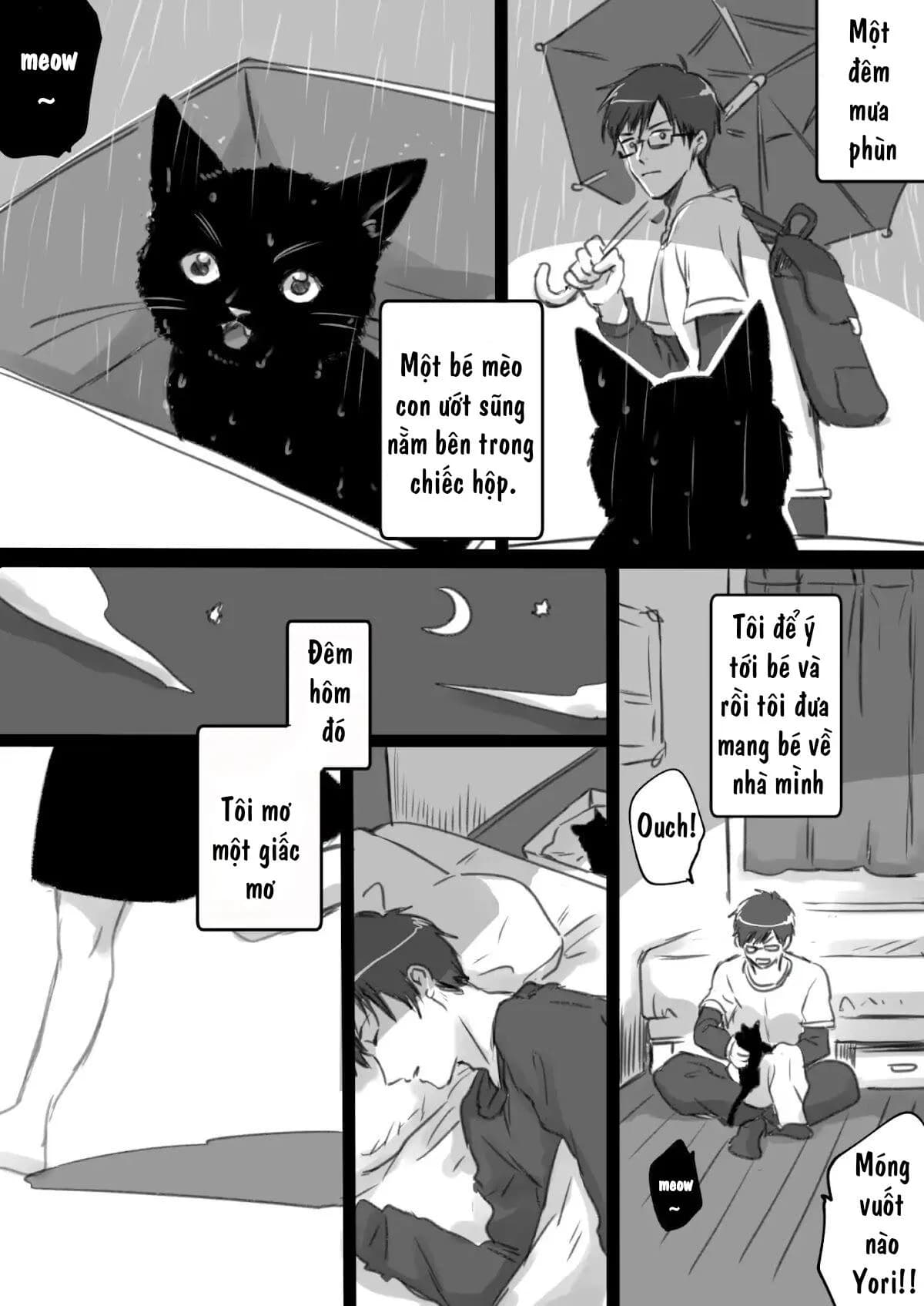 Kimi no Jinsei Zenbu wo Shiawase ni Shite Agetai Hanashi