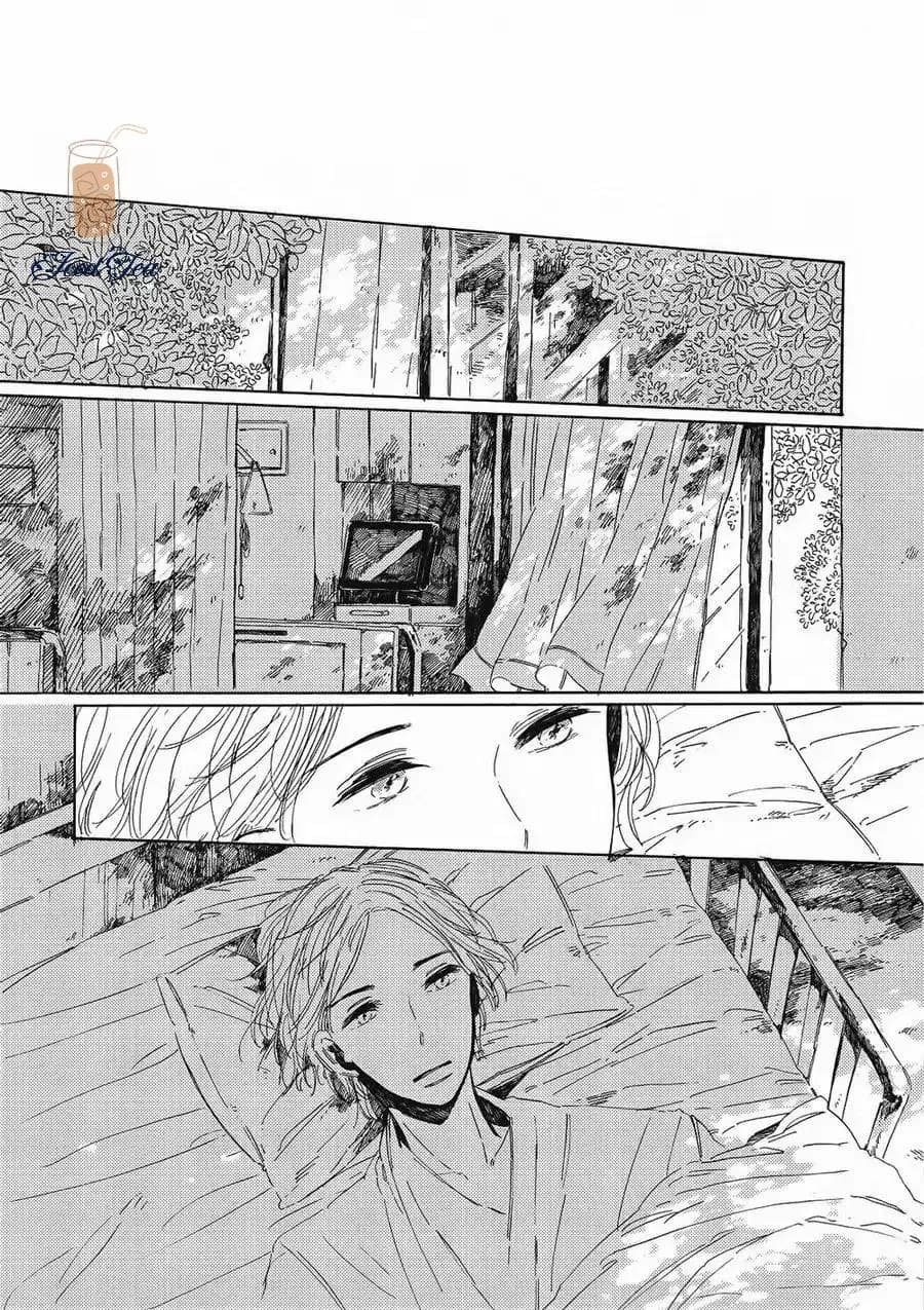 Vũ Điệu Của Ánh Sáng