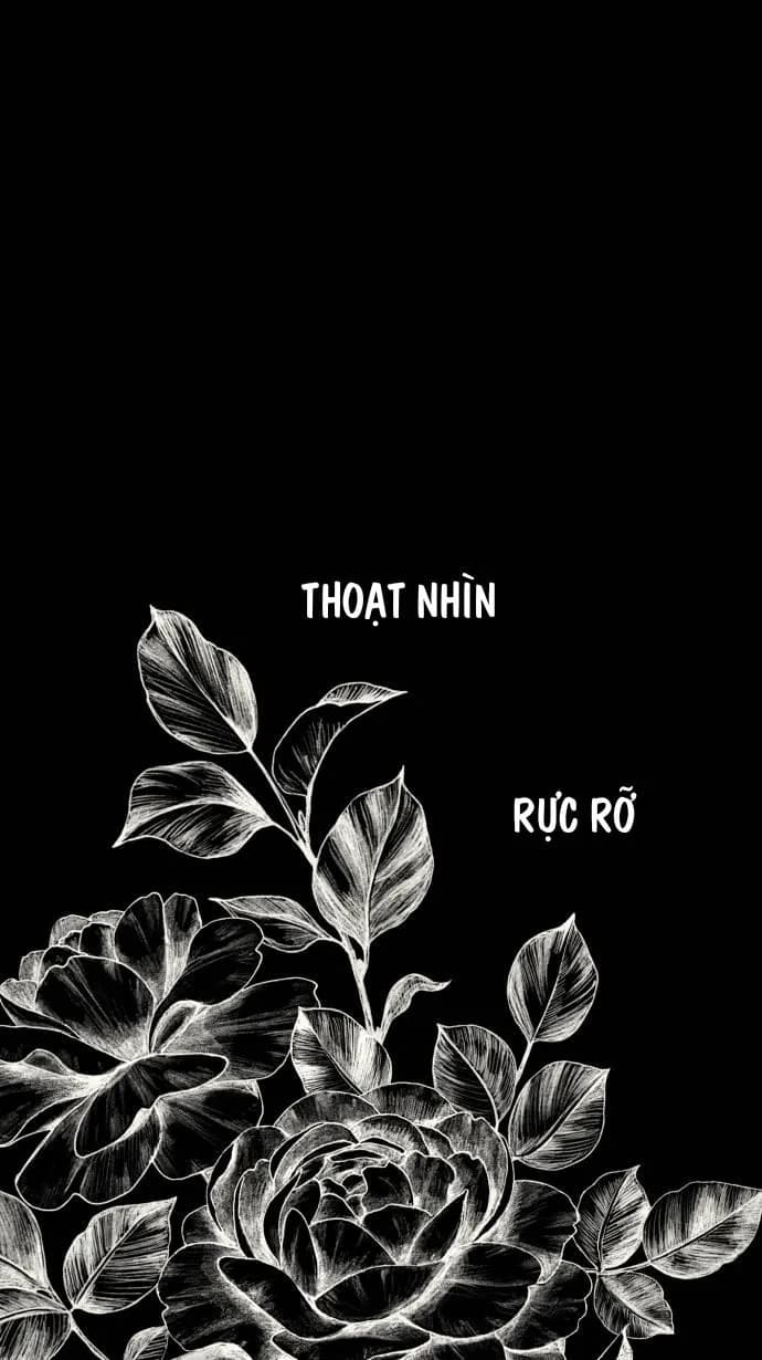 Lặng Lẽ Ngắm Nhìn Em [END]