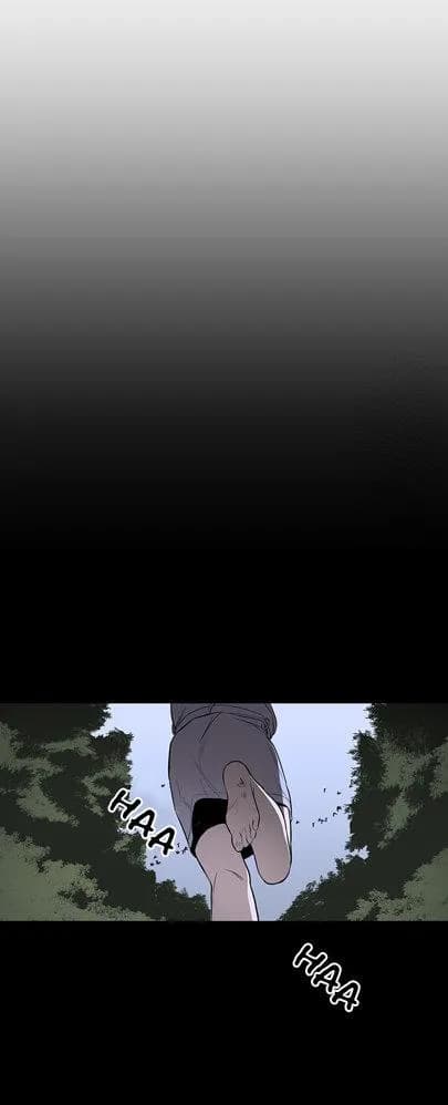 Loài Chim Không Bay