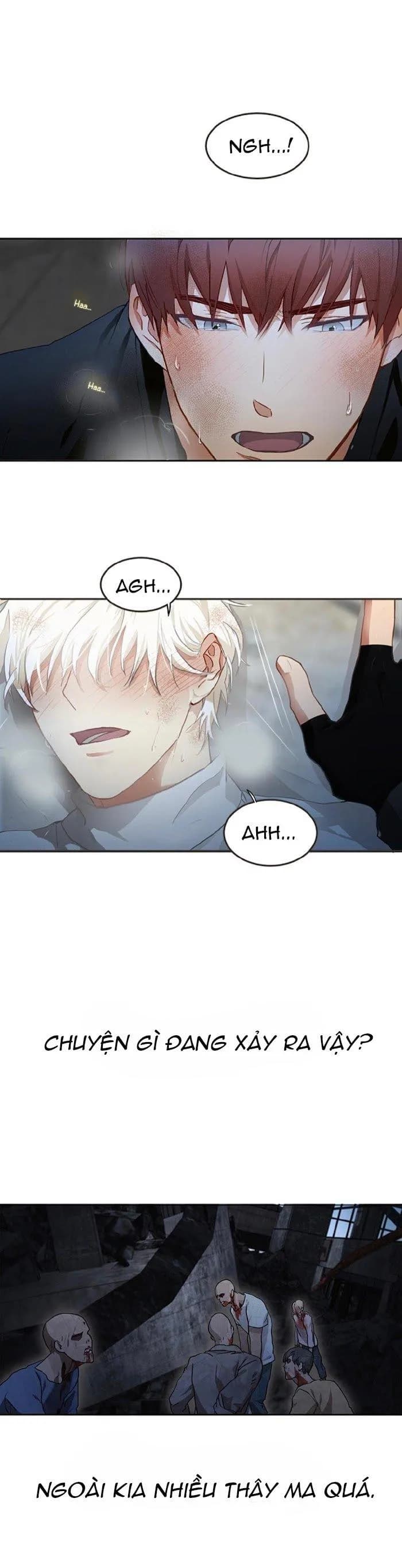 Kẻ Nói Dối Hoàn Hảo HOÀN