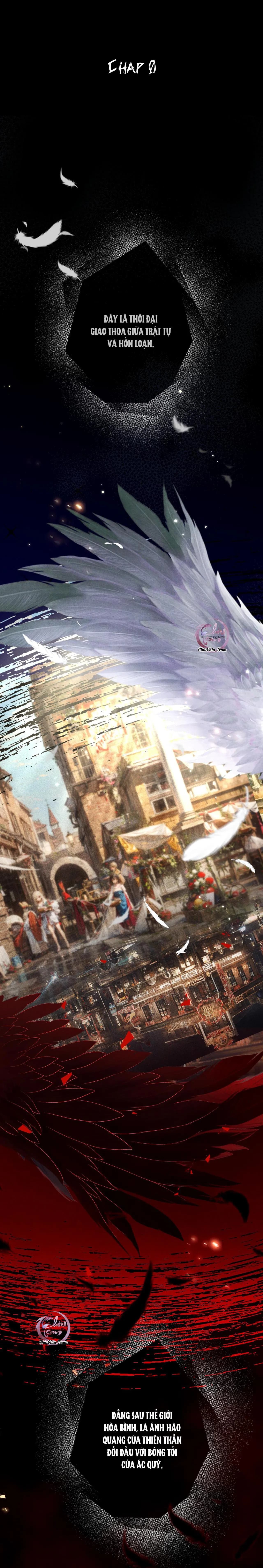 Lông Vũ Ngược Sáng