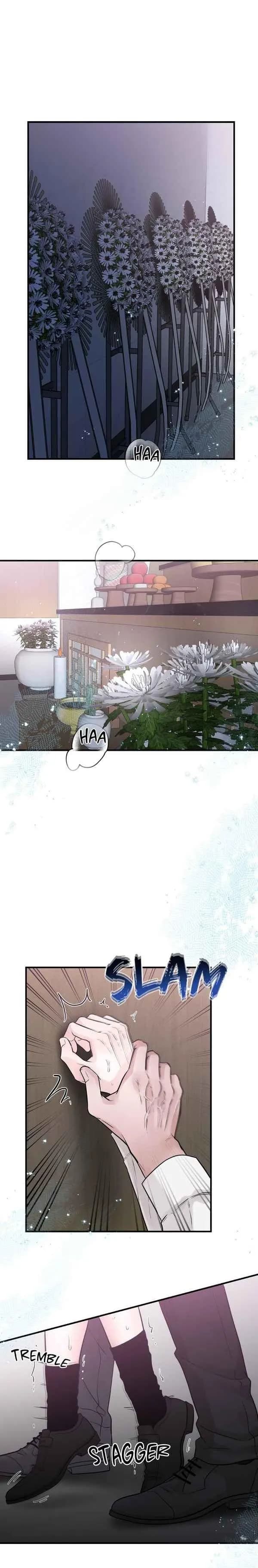 Mối Liên Kết Đáng Ngờ