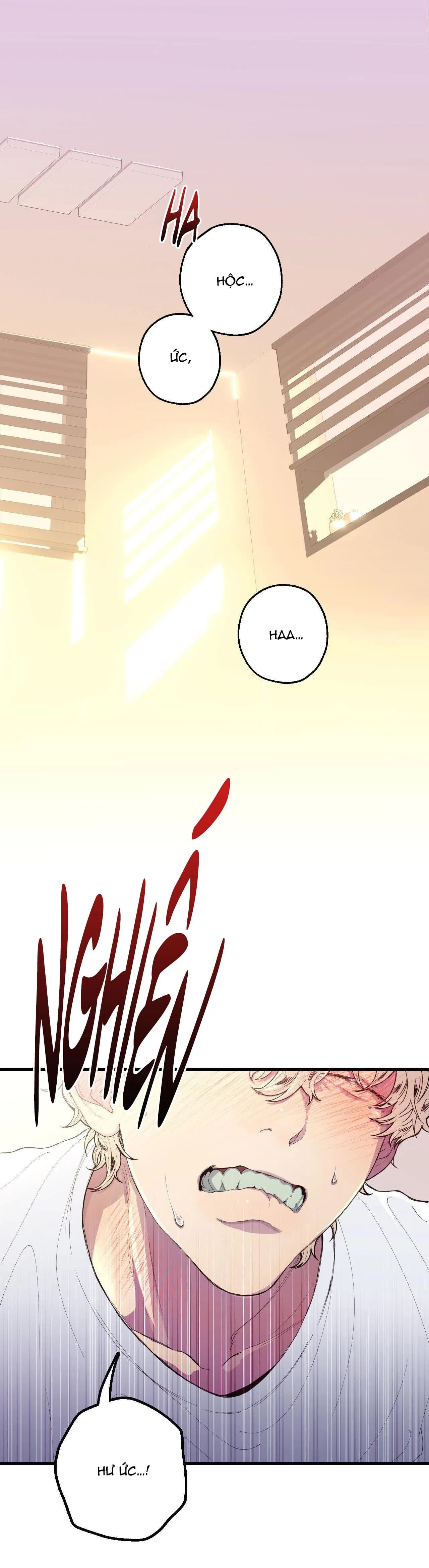 MỐI TÌNH BỊ ĐỘNG