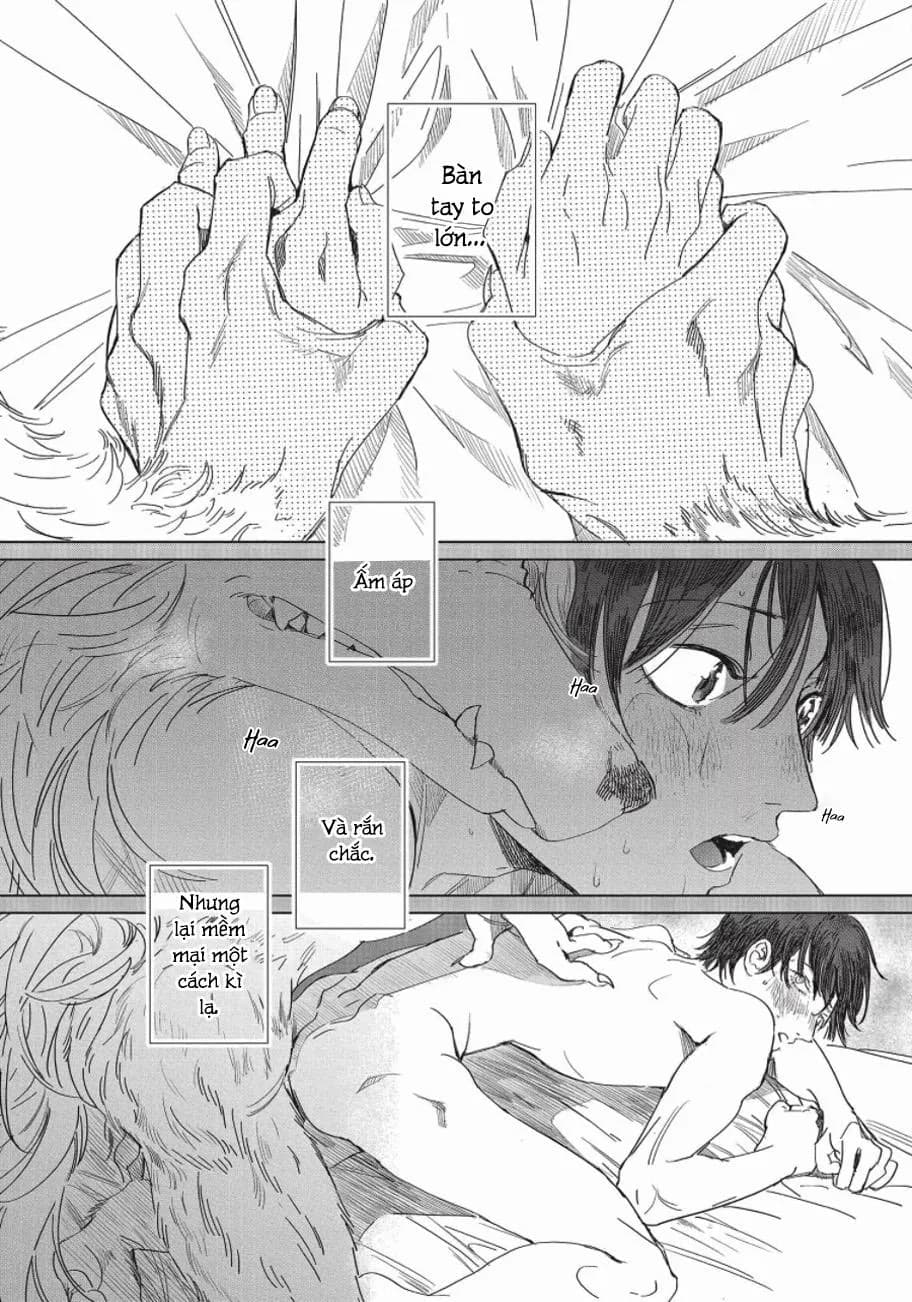 Nghĩa Vụ Của Tế Phẩm