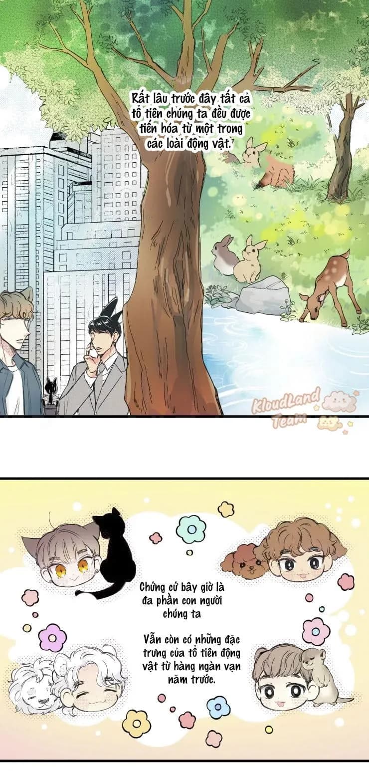 Ngôi nhà tình yêu Pokssinmalrang