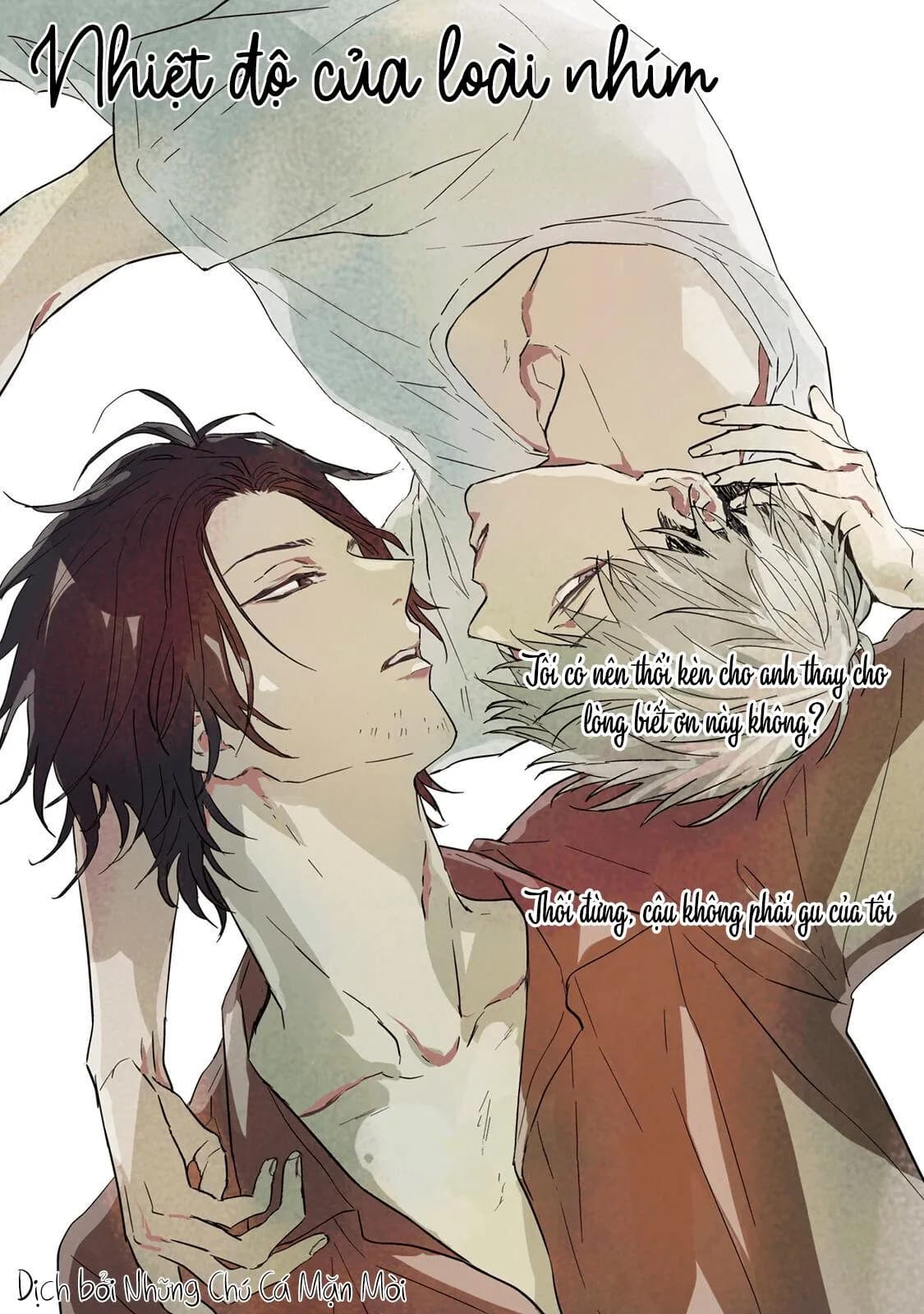 Nhiệt Độ Của Loài Nhím