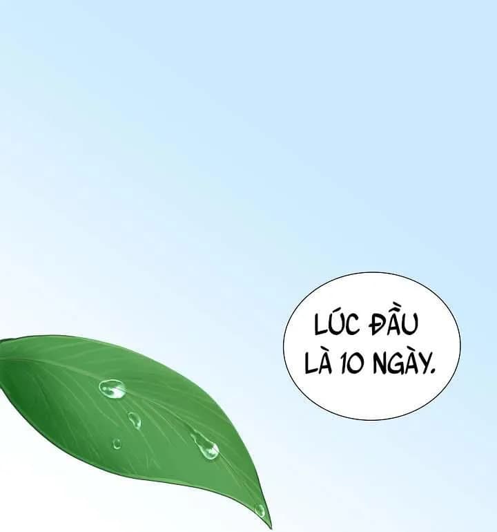 NHÌN LẠI NGỌN LỬA ĐÃ TẮT