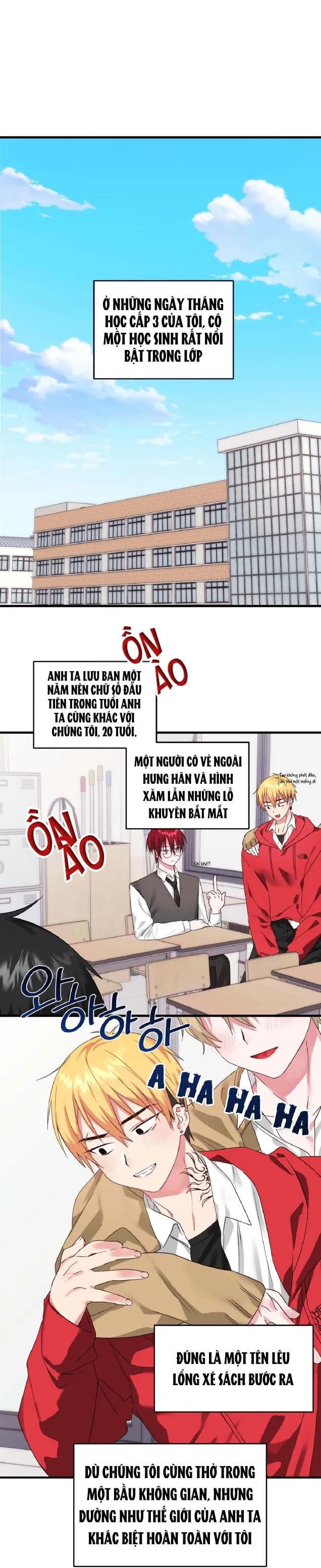 Sẽ thêm chim vào sớm thôi!