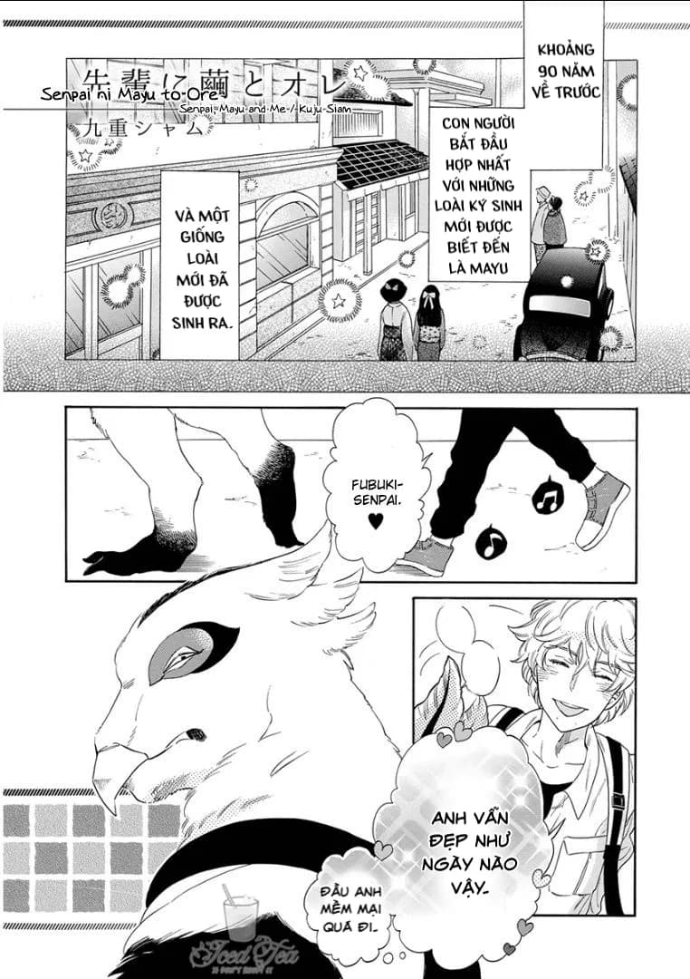 Tiền bối, Cái Kén và Tôi