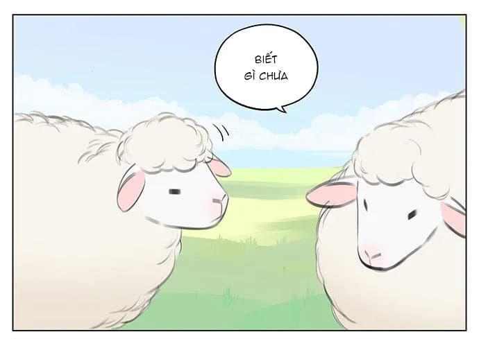 SÓI VÀ CHÓ CHĂN CỪU