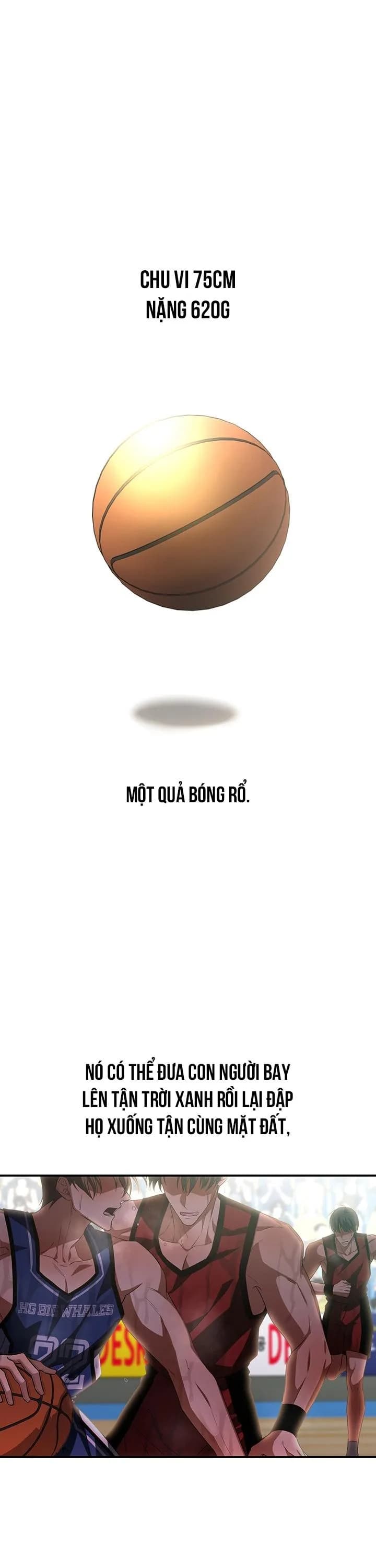 SỰ THẬT TRẦN TRỤI