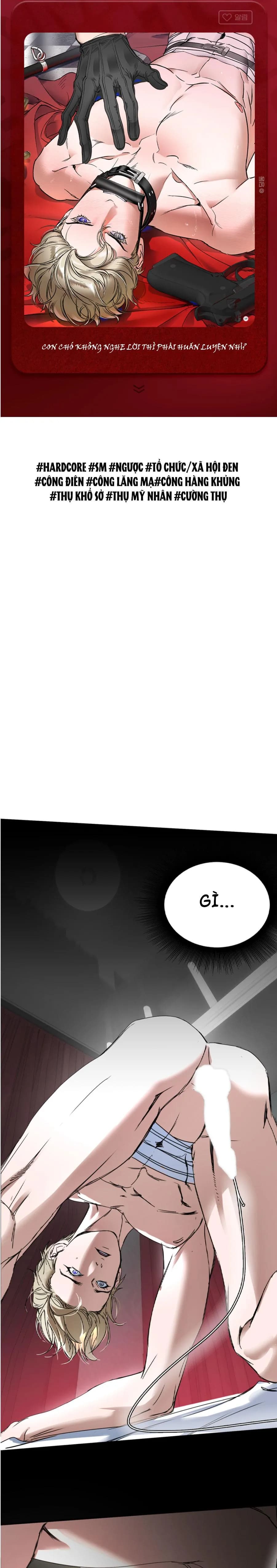 SỰ TRÓI BUỘC CỦA YAN