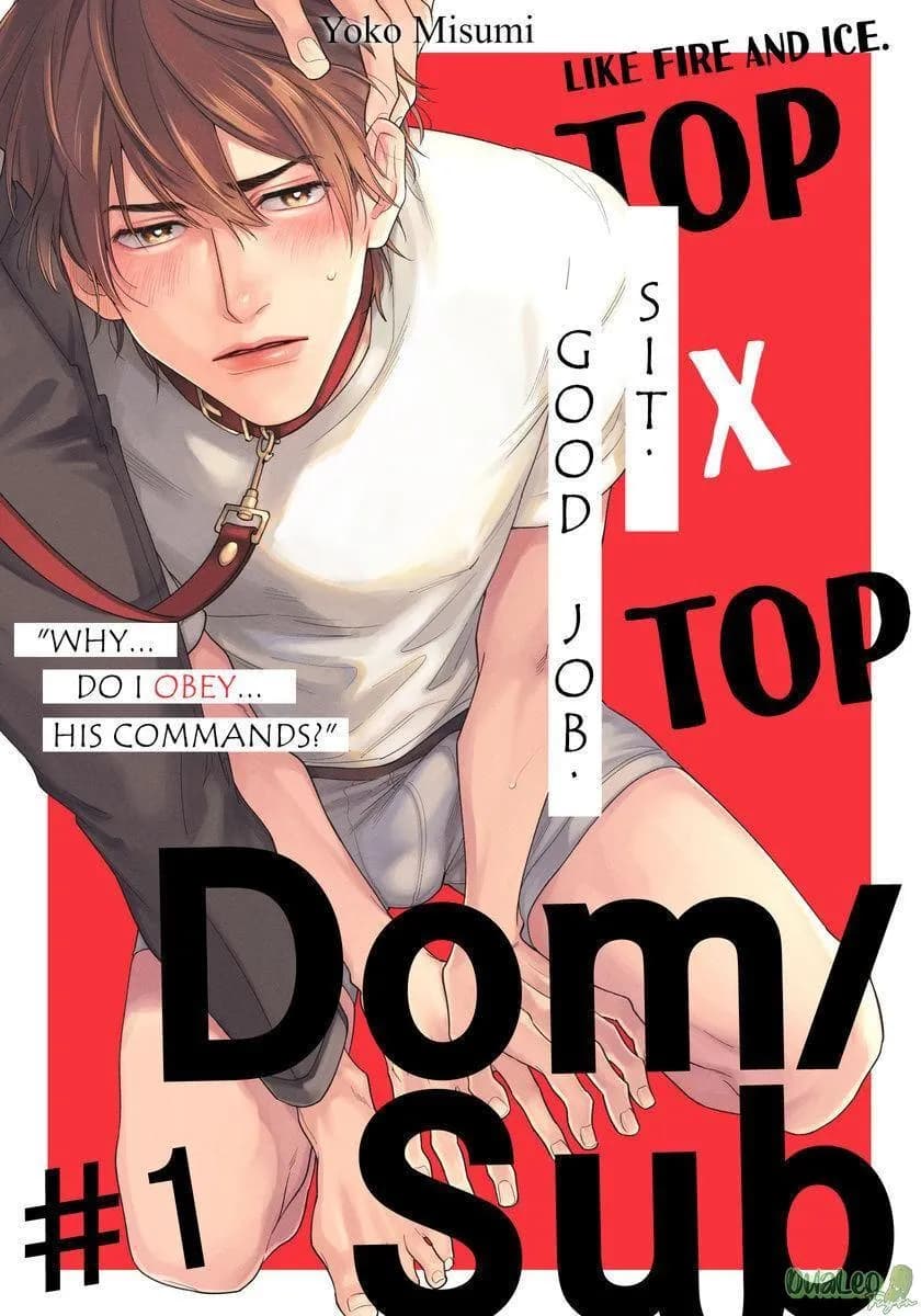 Tại sao tôi lại phải tuân theo mệnh lệnh của anh ấy?