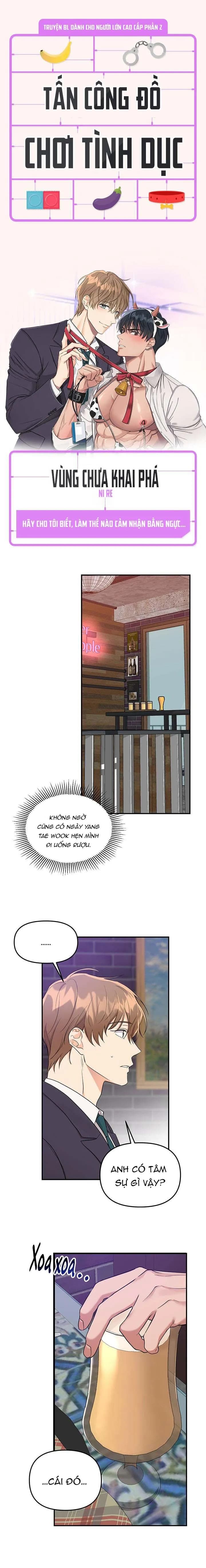 Tấn Công Đồ Chơi Tình Dục