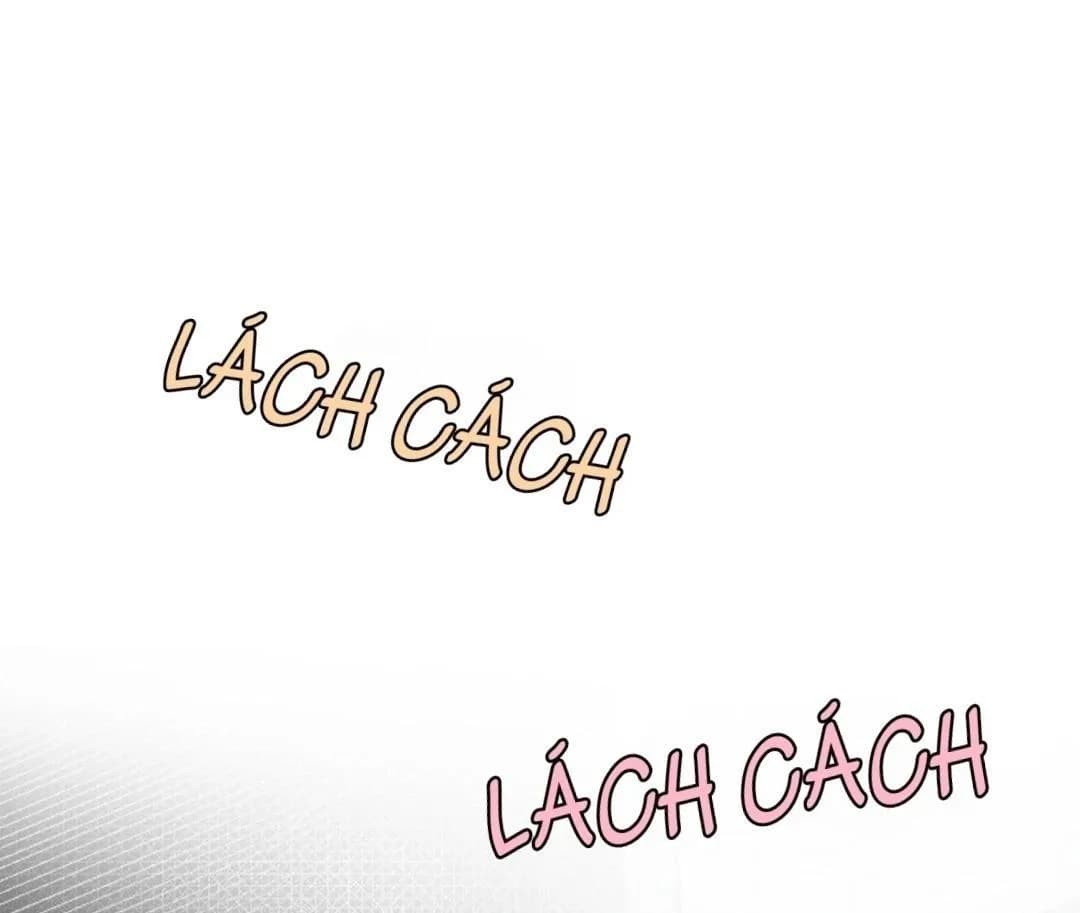 báo cáo thu thập dữ lệu về tuyến tiền liệt