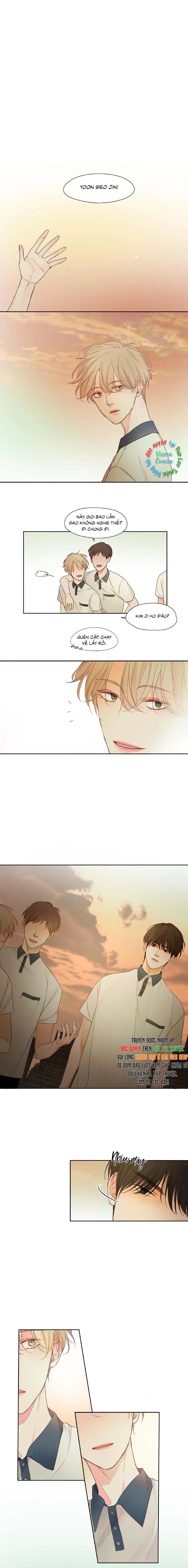 Thâm Tình Trong Ánh Mắt