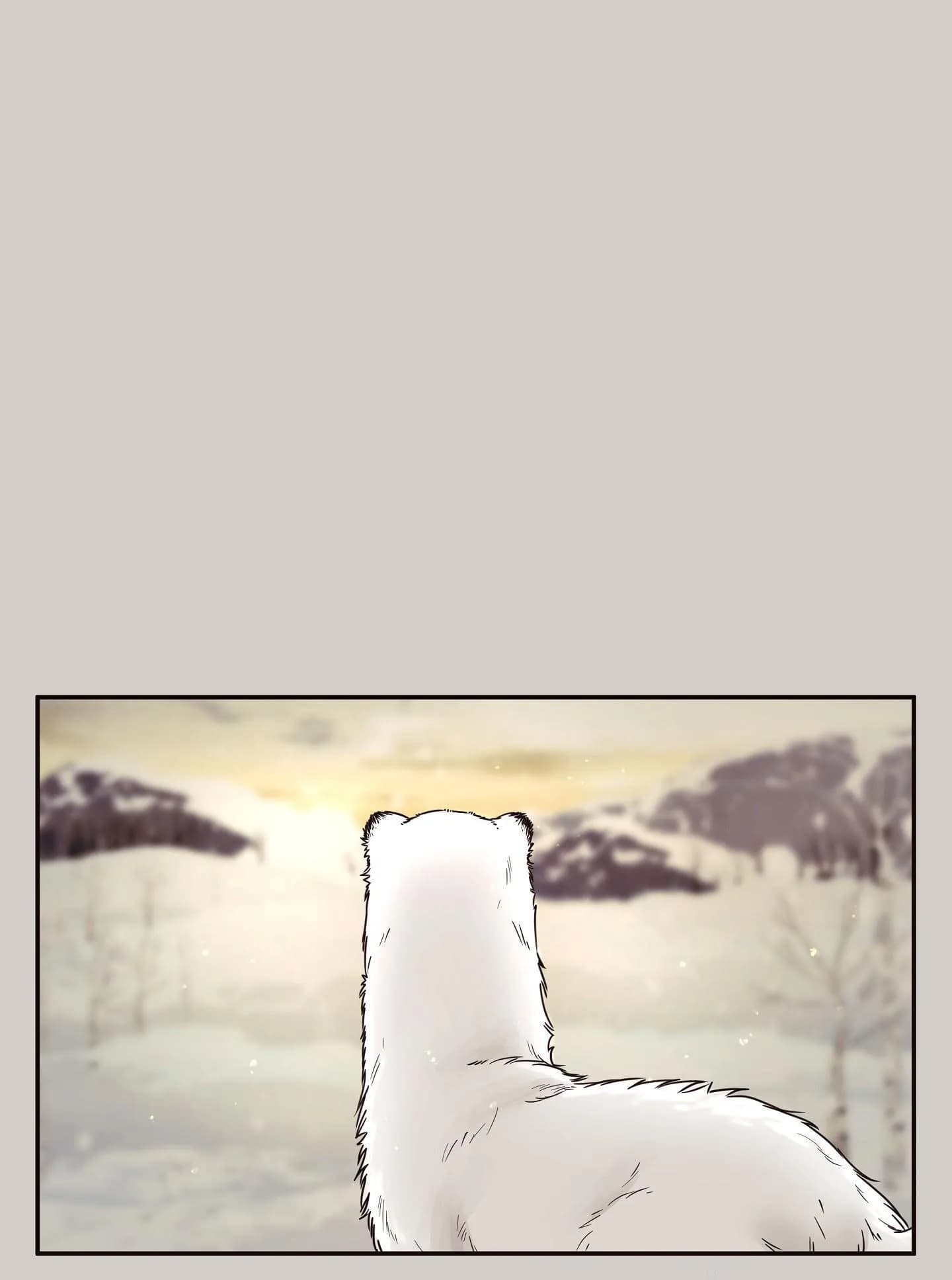 THỎ BẮC CỰC ROBBIE