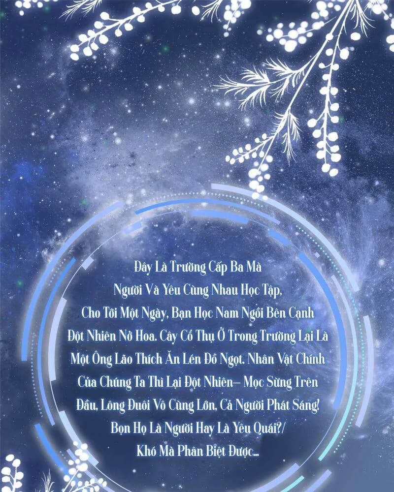 Trường Cấp Ba Sơn Hải