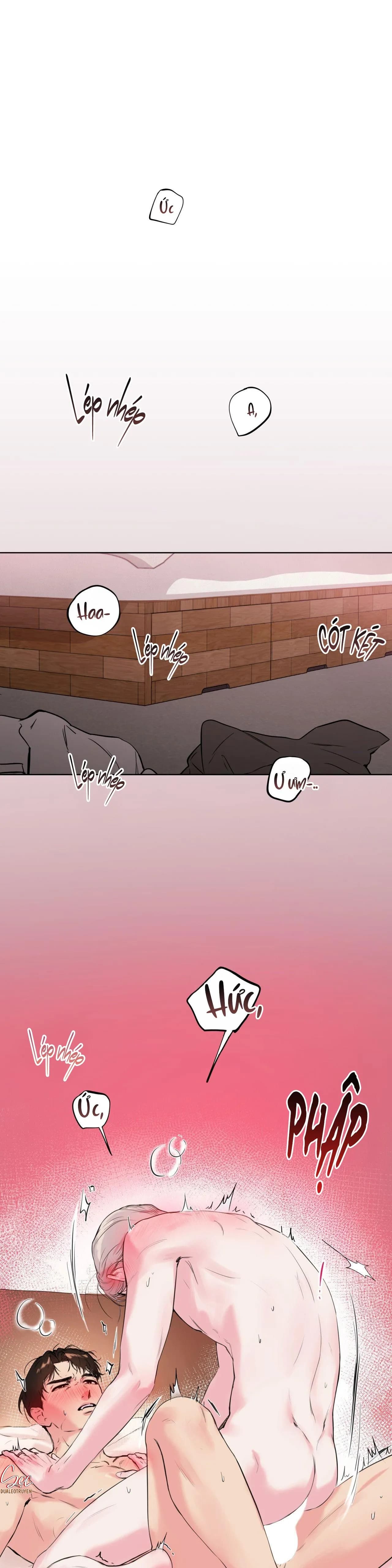 TU HÚ KHÔNG RỜI KHỎI TỔ