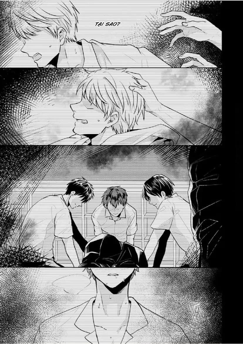 Từ Vết Cắn Cho Tới Mối Tình Đầu