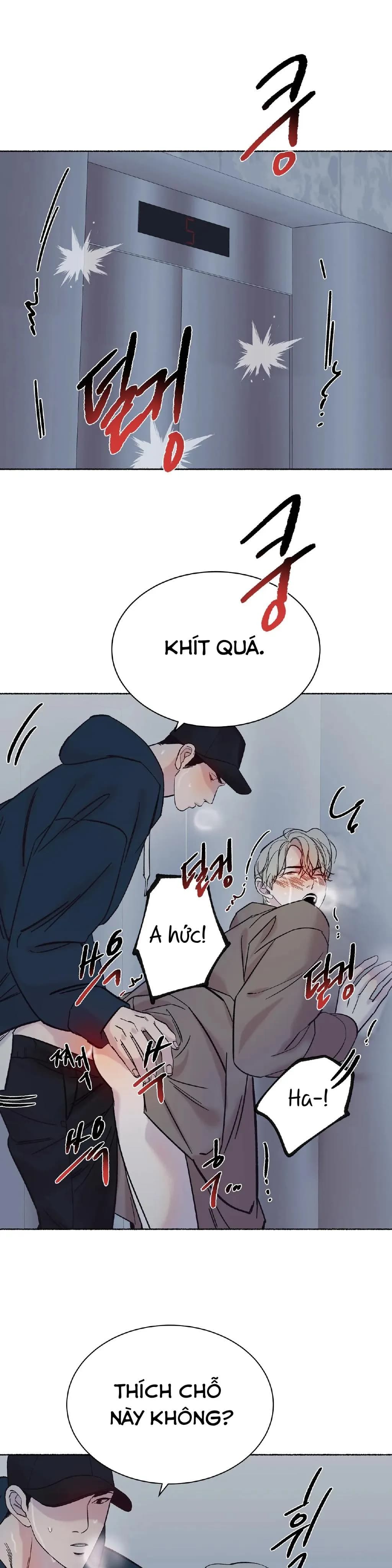 Tuyển tập manhwa người lớn