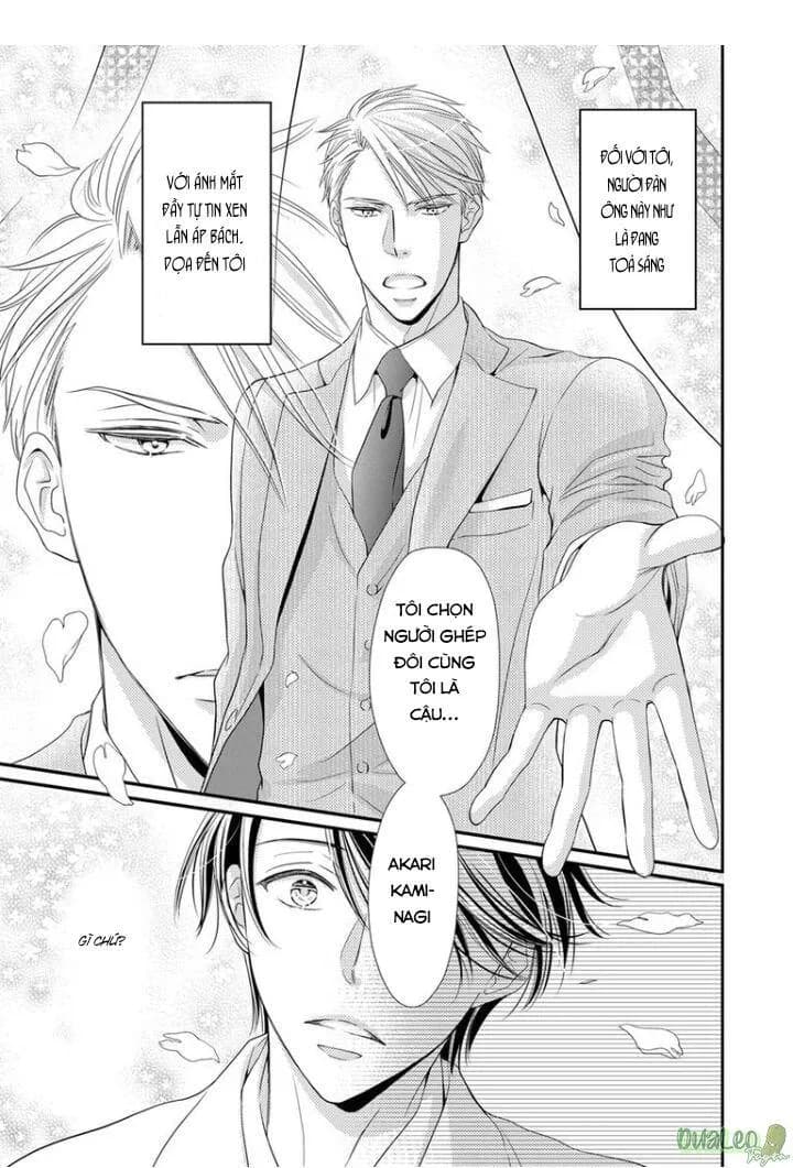 Bạn Đời Dối Trá