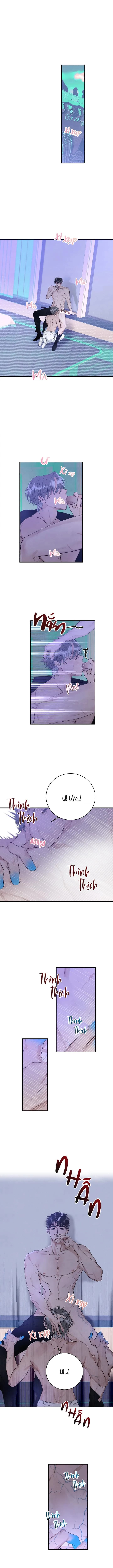 VẤP NGÃ BỞI CÁI TÔI